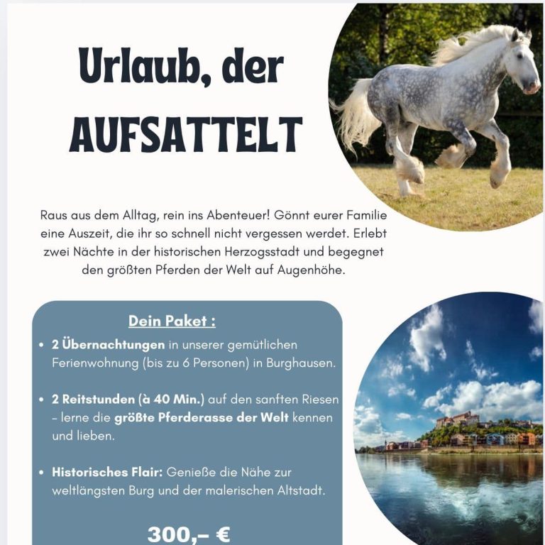 Erlebnis-Paket für ein Wochenende in Burghausen mit 2 Übernachtungen und Reitstunden auf sanften Shire Horses für Anfänger und Fortgeschritt
